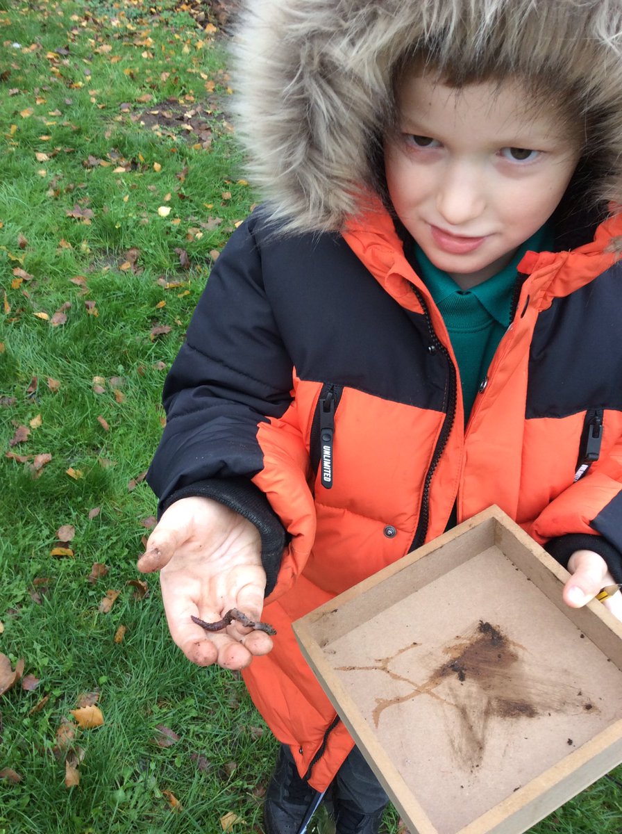 St Peter & St Paul on Twitter "In science, 1/2SV have learnt about