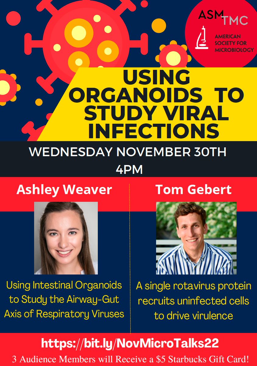 asm_tmc's tweet image. Join us next Wednesday (11/30) at 4pm for our monthly #MicroTalks featuring #virology research from grad students Ashley Weaver &amp;amp; Tom Gebert (@bestofneither)!

WHEN: Wednesday November 30th at 4PM
WHERE: bit.ly/NovMicroTalks22 

@HyserLab @BCMFromtheLabs #research #phdlife