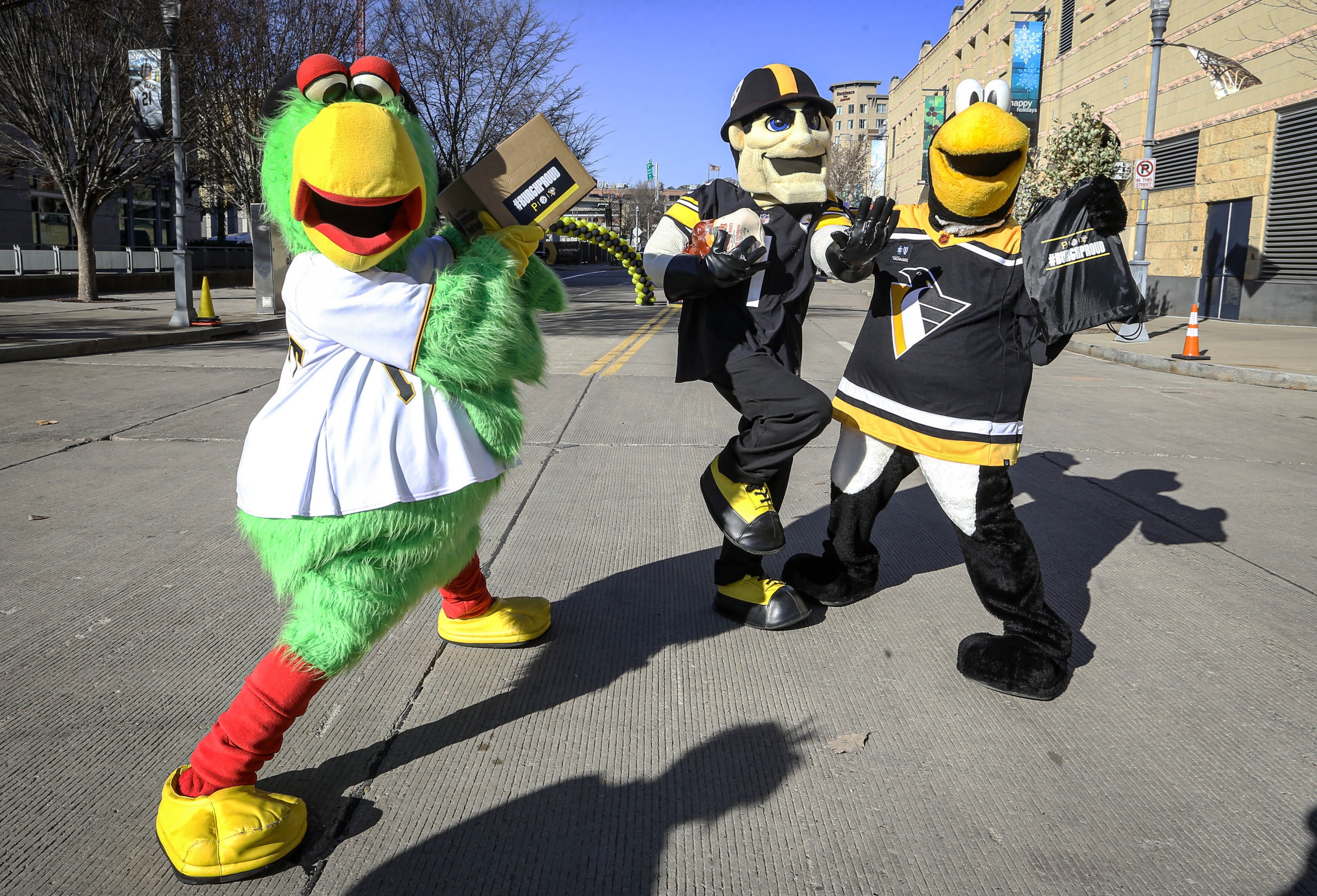 The Pirate Parrot (@Pirate_Parrot) / X