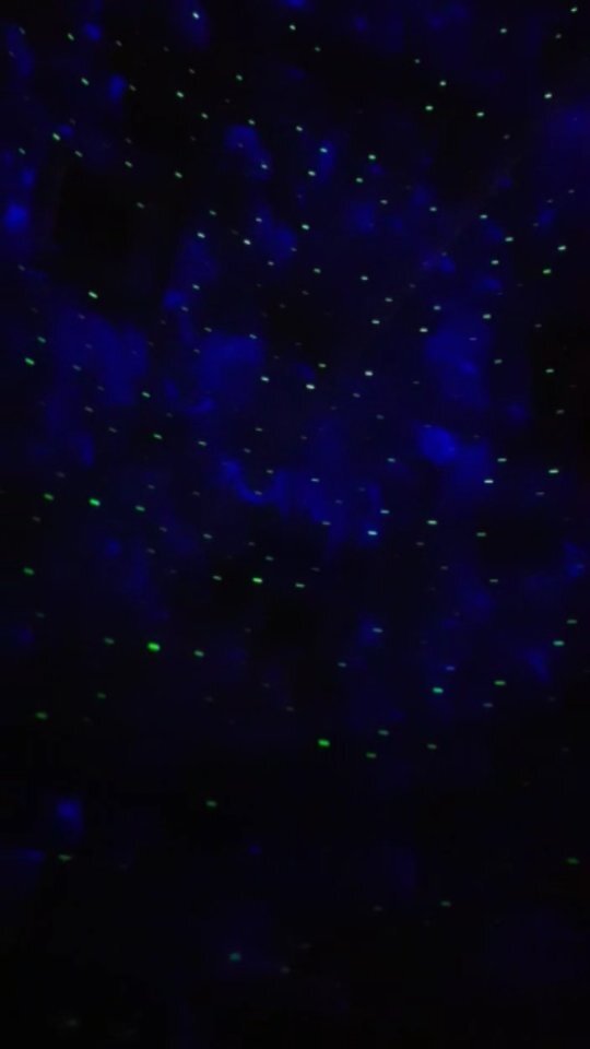 Greenman tweet media