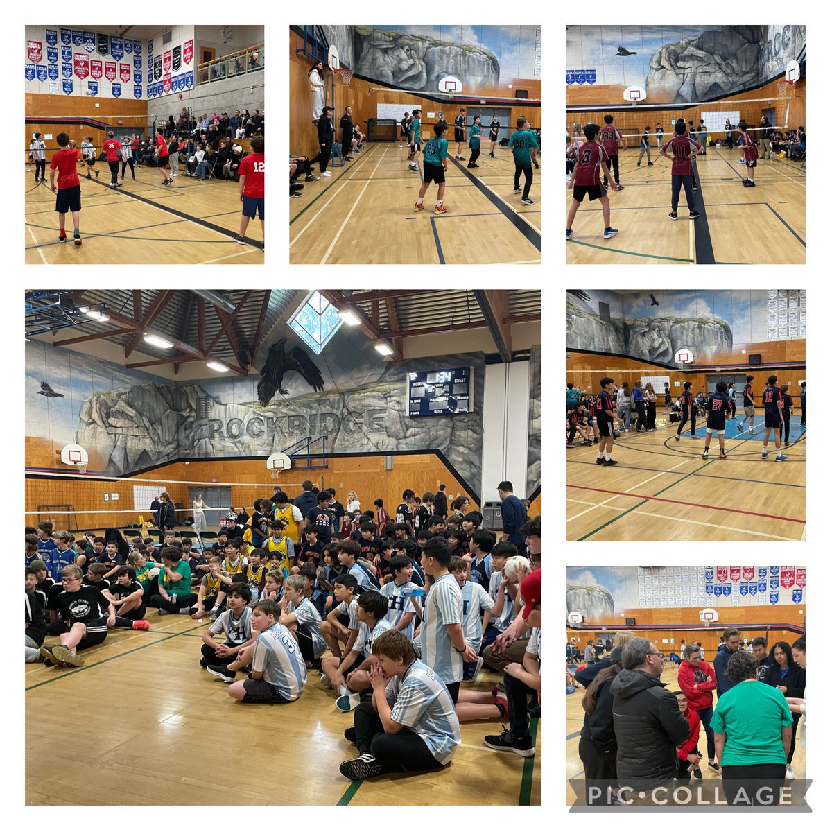 Liz Hill tweet media