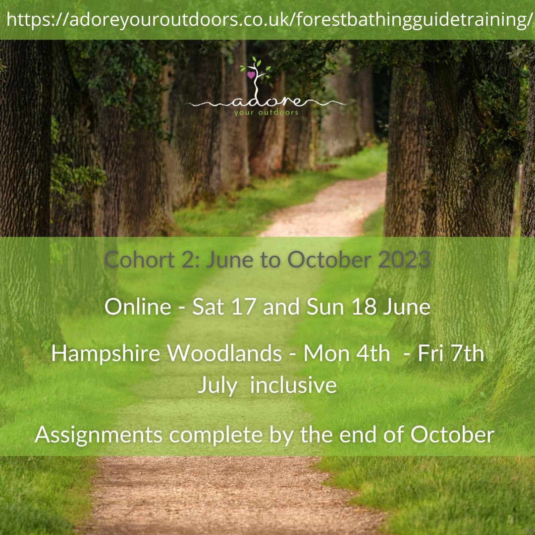 #ForestBathing and #Nature Connection Guide #training, starts 2023. Join the #green #healthcare movement and retrain or expand your service portfolio with <a href="/AdoreYrOutdoors/">Adore Your Outdoors</a>. Online and in #Hampshire adoreyouroutdoors.co.uk/forestbathingg…