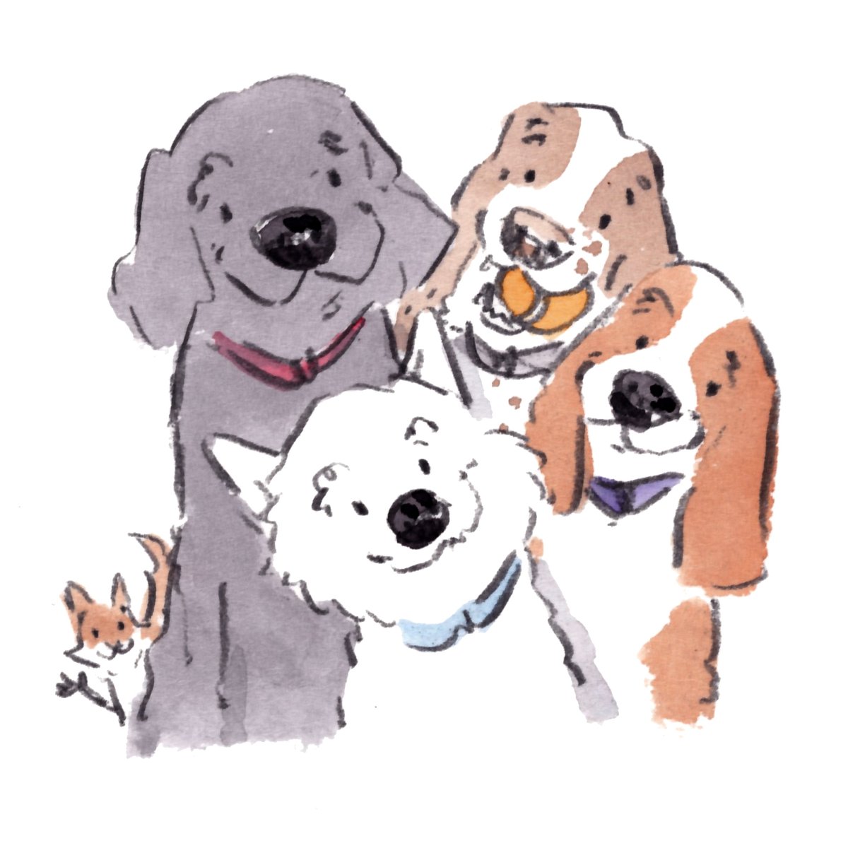 iaindwelch's tweet photo. Good night, lovely people and lovely dogs.
The team knows that a little head-tilt works on me every time. 
I hope that you have a wonderful day tomorrow. 
Sleep well and sweet dreams. 
#hoorayfordogs #labrador #westie #springer #beagle #redsquirrel https://t.co/HCTbcrn9do
