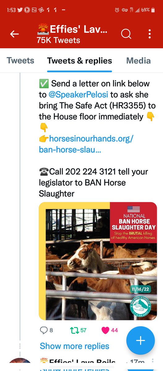 ALL HORSE ADVOCATES
PLEASE RETWEET @HORSESINOURHANDS
TWEETS 
#BANHORSESLAUGHTER
#PASSHR3355
#THISYEAR