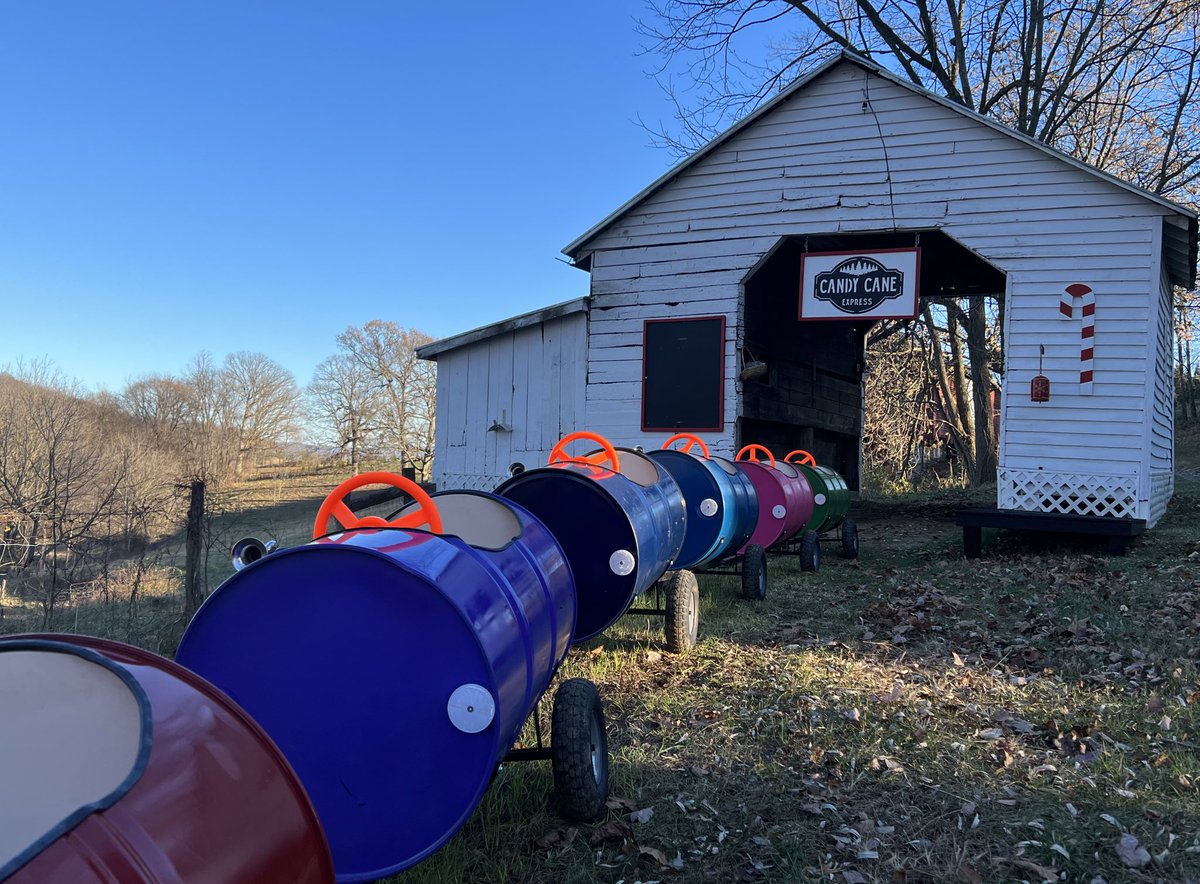 The calm before the Christmas craziness begins at Oslund Christmas Tree Farm in Rockingham County🎄