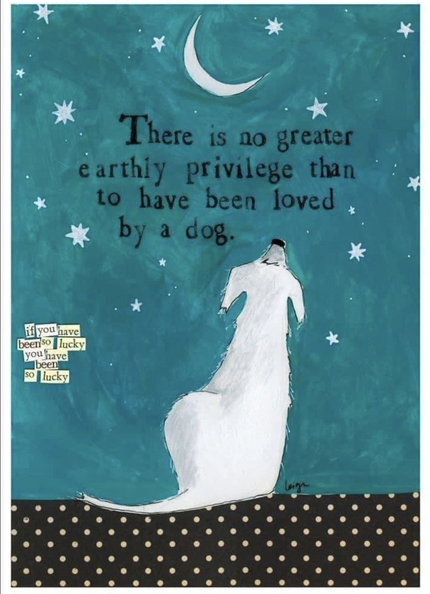 <a href="/TheGoldenPups/">GoldenPups.eth</a>