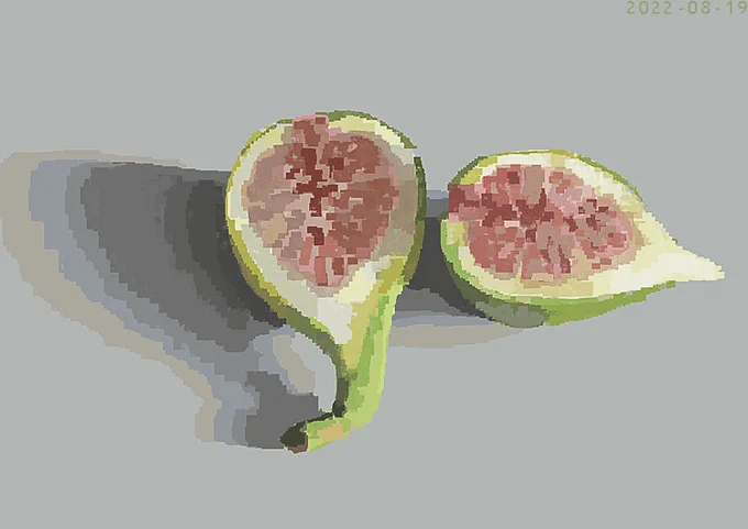 白い無花果 