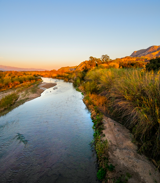 On this day, we want to share gratitude for our community, our families, and this beautiful land we are lucky enough to call home. 

Happy Thanksgiving, SOAR supporters 🦃🌿.
