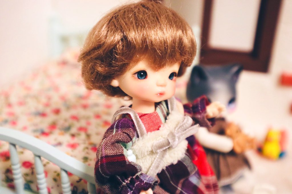 gattolibero555's tweet photo. たまにはtimp達も出してあげよかな☺️
すんごく可愛いのよ❤️この子はyujaのデネブちゃん🦢✨✨
#imda_timp
#imdatimp
#cocoriang_mocka https://t.co/5x6NlIqZqd