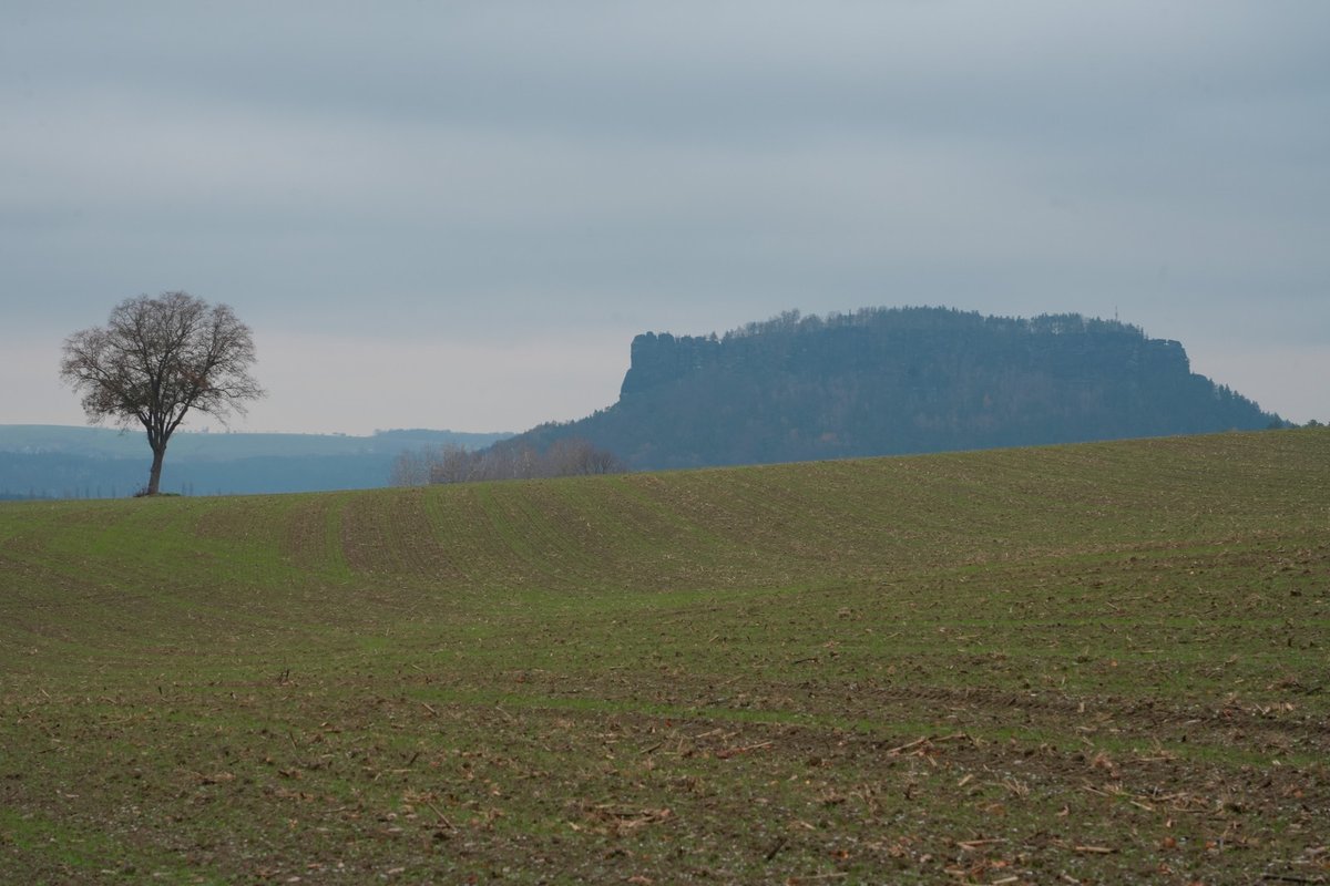 Der Lilienstein. Sächsische Schweiz.