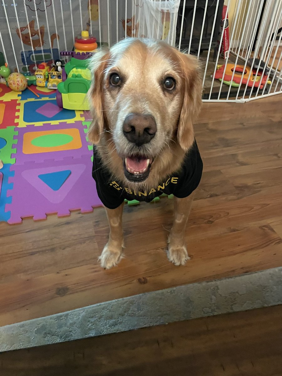 Karma in her after surgery shirt! Thanks <a href="/binance/">Binance</a>!
