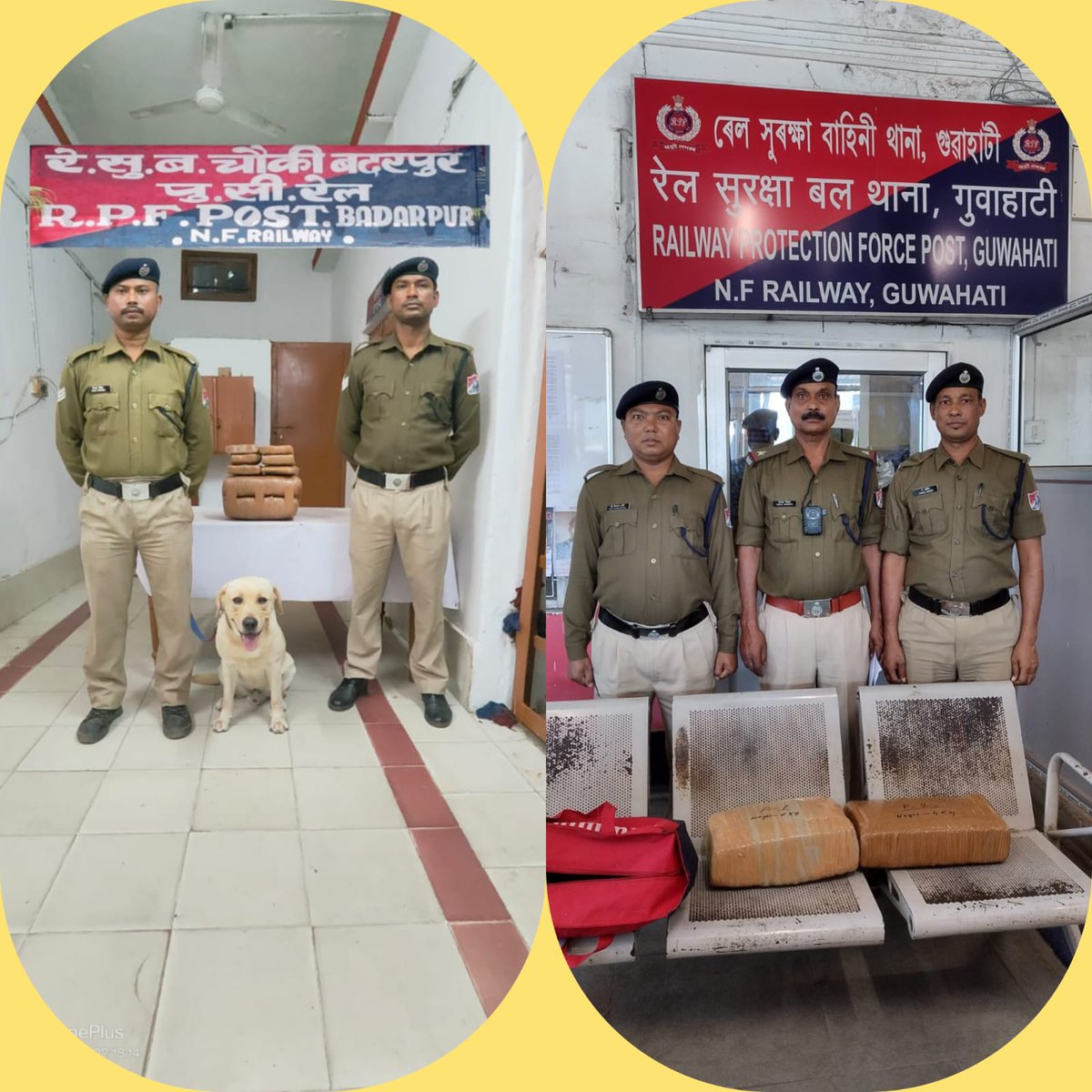#OperationNarcos  
On22.11.22 #RPFLMG train escort party of t/no. 20501 dn &amp; #Dogsquad Badarpur recovered 12.200 Kgs suspected to be  Ganja in T/no. 20501 dn &amp; 15663 up, valued is Rs.122,000/-Approx and handed over to GRP/GHY &amp; BPB for legal process.
@RPFNFR2 <a href="/RailNf/">Northeast Frontier Railway</a> <a href="/drm_lmg_nfr/">मं.रे.प्र.लामडिंग, पू.सी.रेलवे / DRM LUMDING NFR</a>