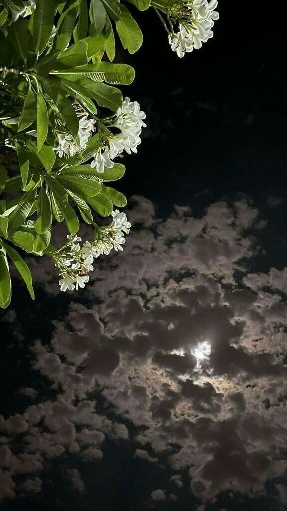 Good night 💙