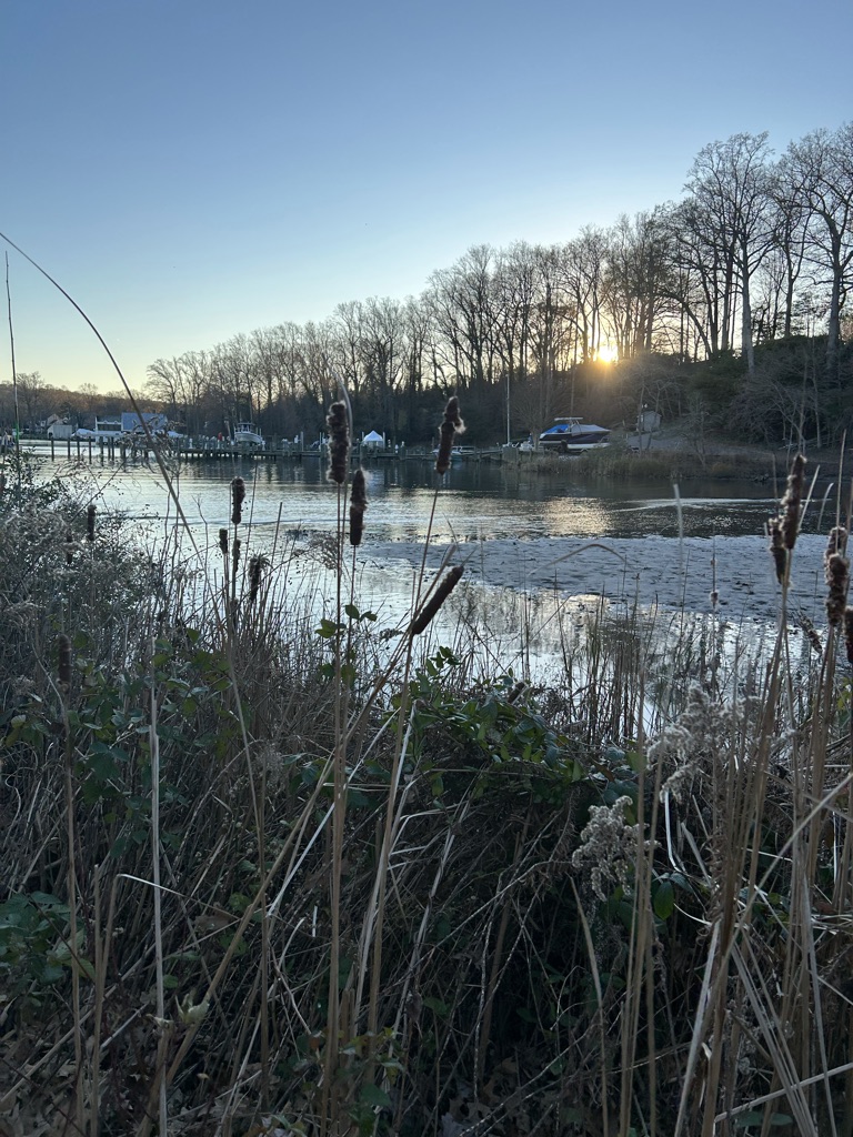 Val LaMore tweet media