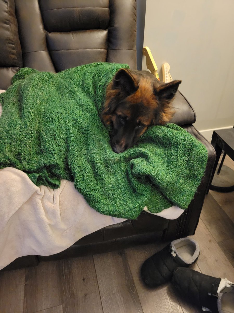 ButtonsTheFloof tweet picture