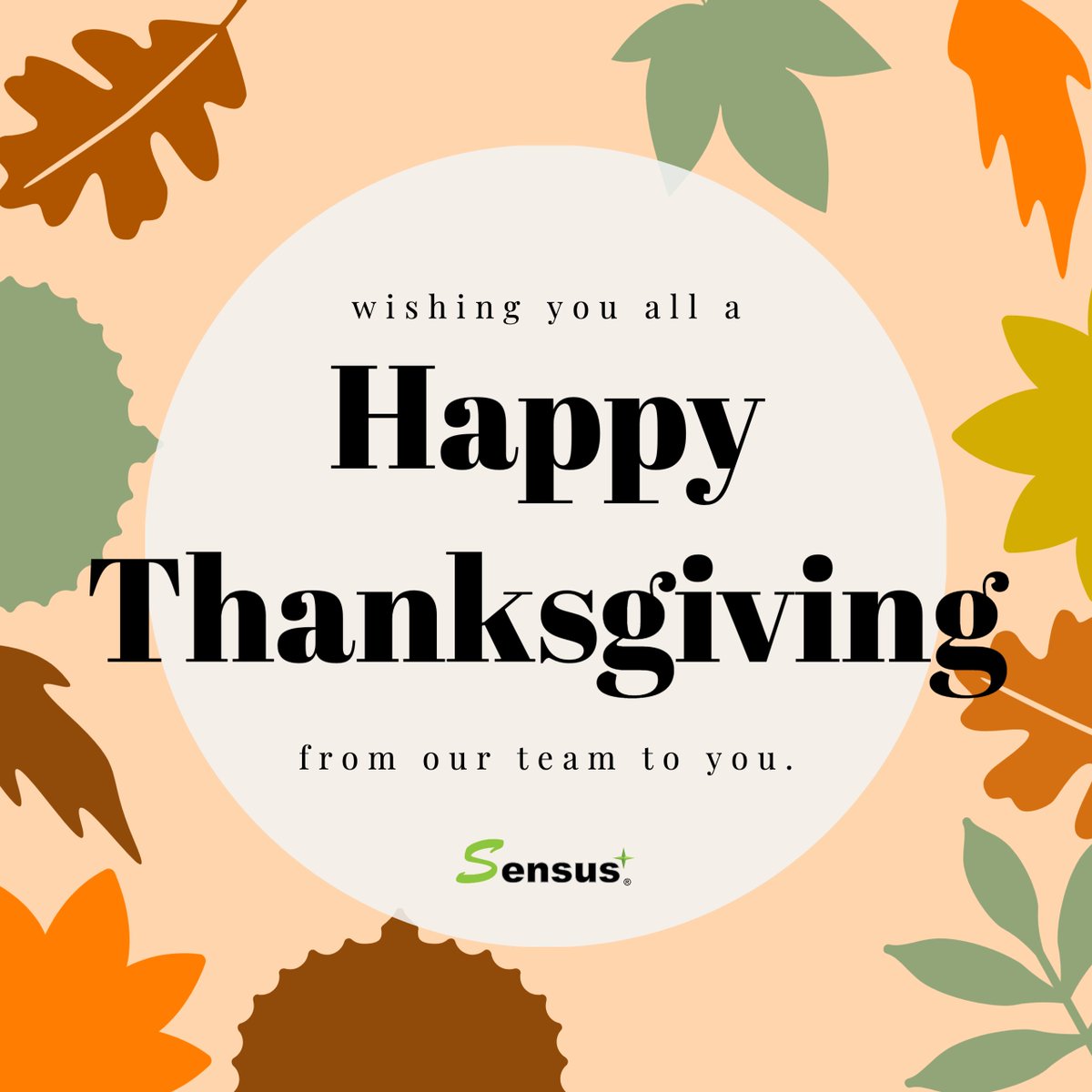 Thankful for our team, physicians and partners...our Sensus team wishes you all a happy holiday💚

#happythanksgiving #thanksgivingday #thanksgiving #happyholidays #skin #skincare #health #wellness #healthy #skinhealth #medical #technology #medicaldevices #medicaldevice