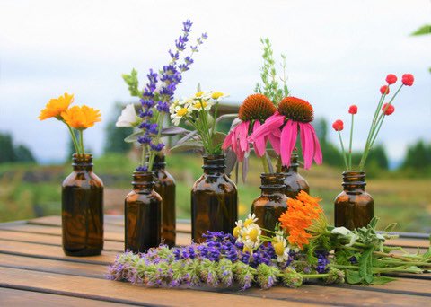 SkinCareNP's tweet photo. 🌿🪴💐🧴 #natural #skincare #herbal #Science https://t.co/XpwdP5UEBS