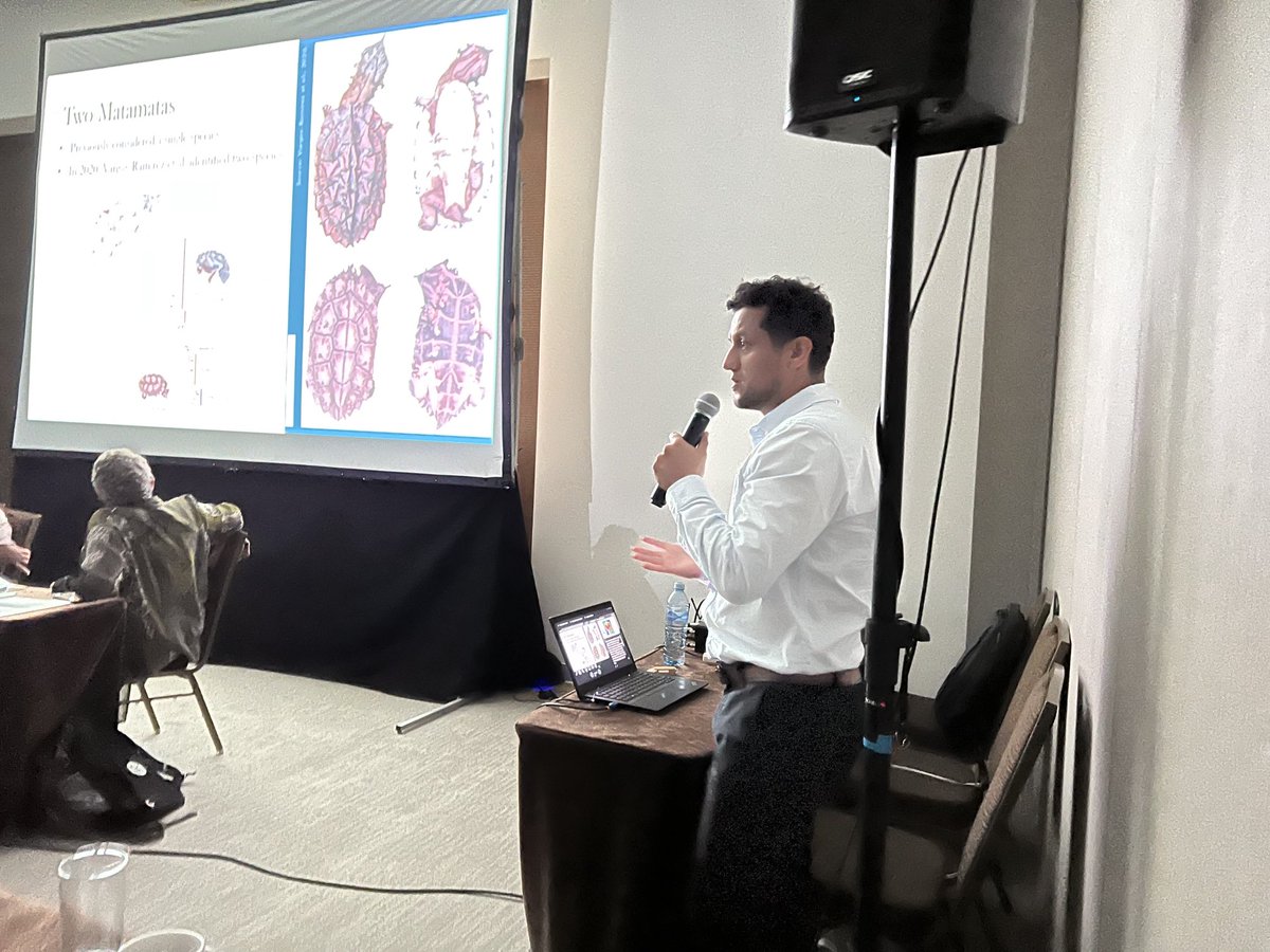 TheWCS's tweet photo. At #CITESCOP19 @WCSColombia @germanforecroc: There’s evidence of high global demand for South America’s matamata turtles, especially as pets. We thank Peru, Brazil, Colombia, and Costa Rica for ensuring these BEAUTIFUL turtles won intl trade protections in @CITES committee today https://t.co/IUgcyydIh9