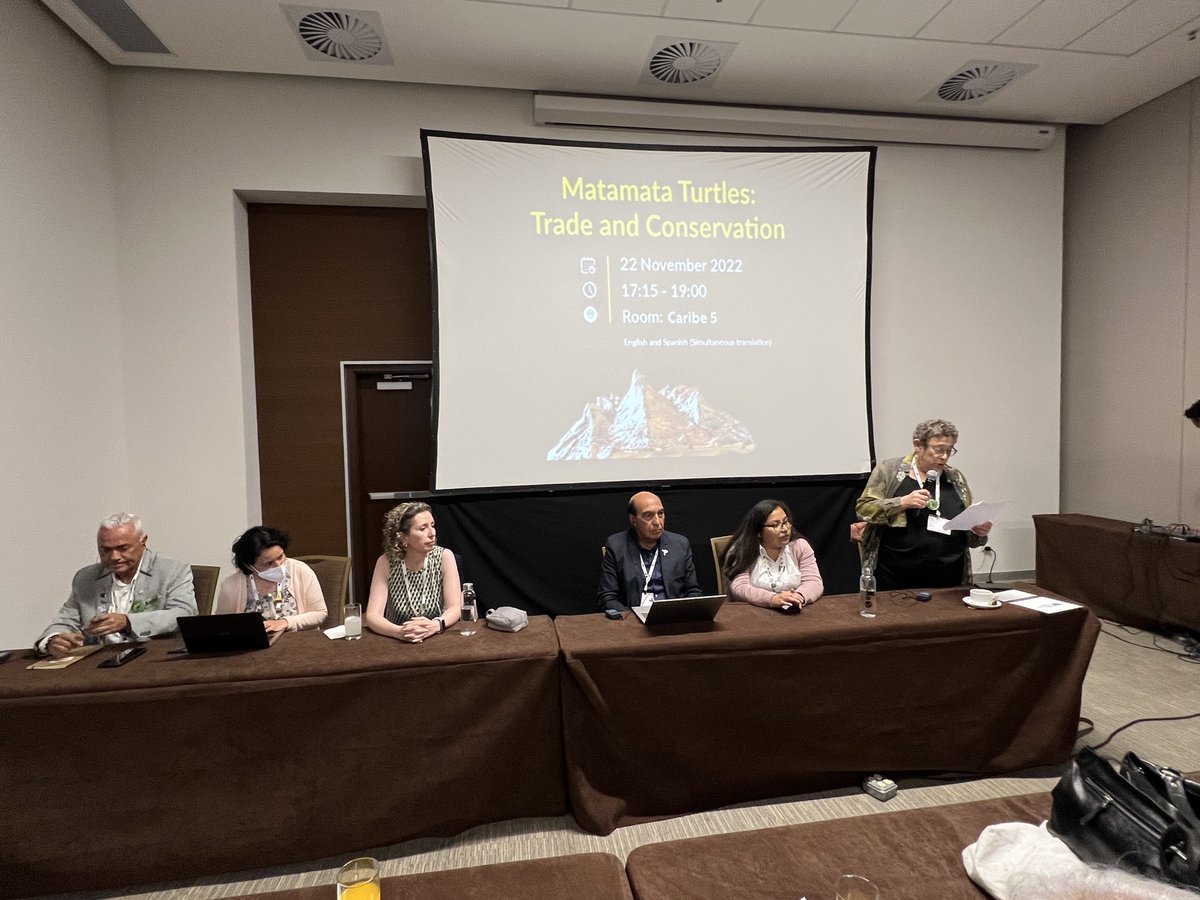 TheWCS's tweet photo. At #CITESCOP19 @WCSColombia @germanforecroc: There’s evidence of high global demand for South America’s matamata turtles, especially as pets. We thank Peru, Brazil, Colombia, and Costa Rica for ensuring these BEAUTIFUL turtles won intl trade protections in @CITES committee today https://t.co/IUgcyydIh9