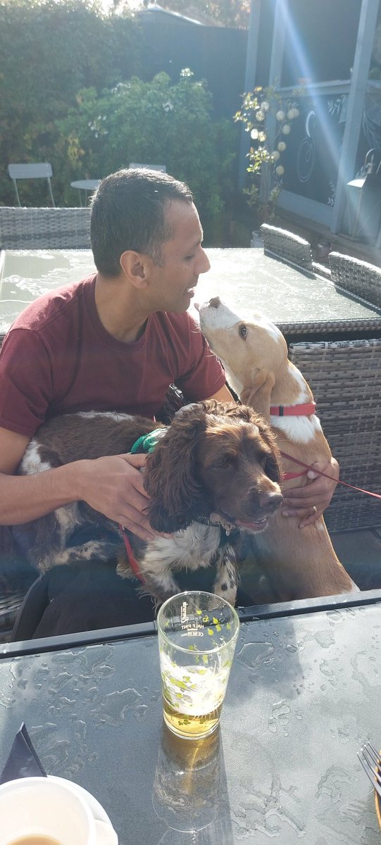 Rachael Evans tweet media