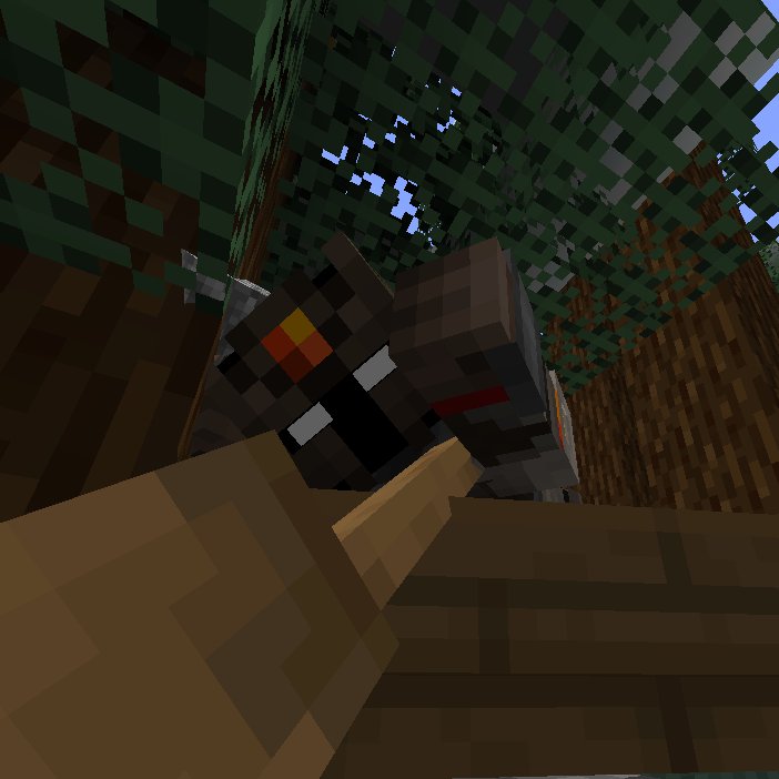 daily farfadox 🎃 (@farfadoxpics) on Twitter photo 