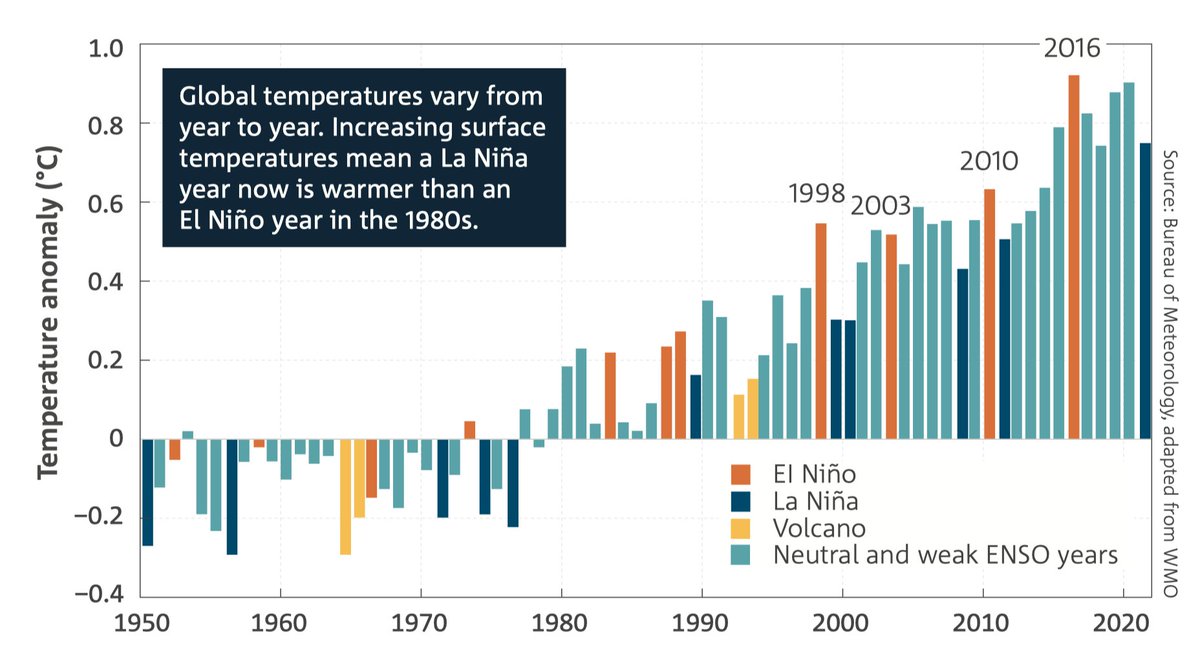 Pep Canadell tweet media