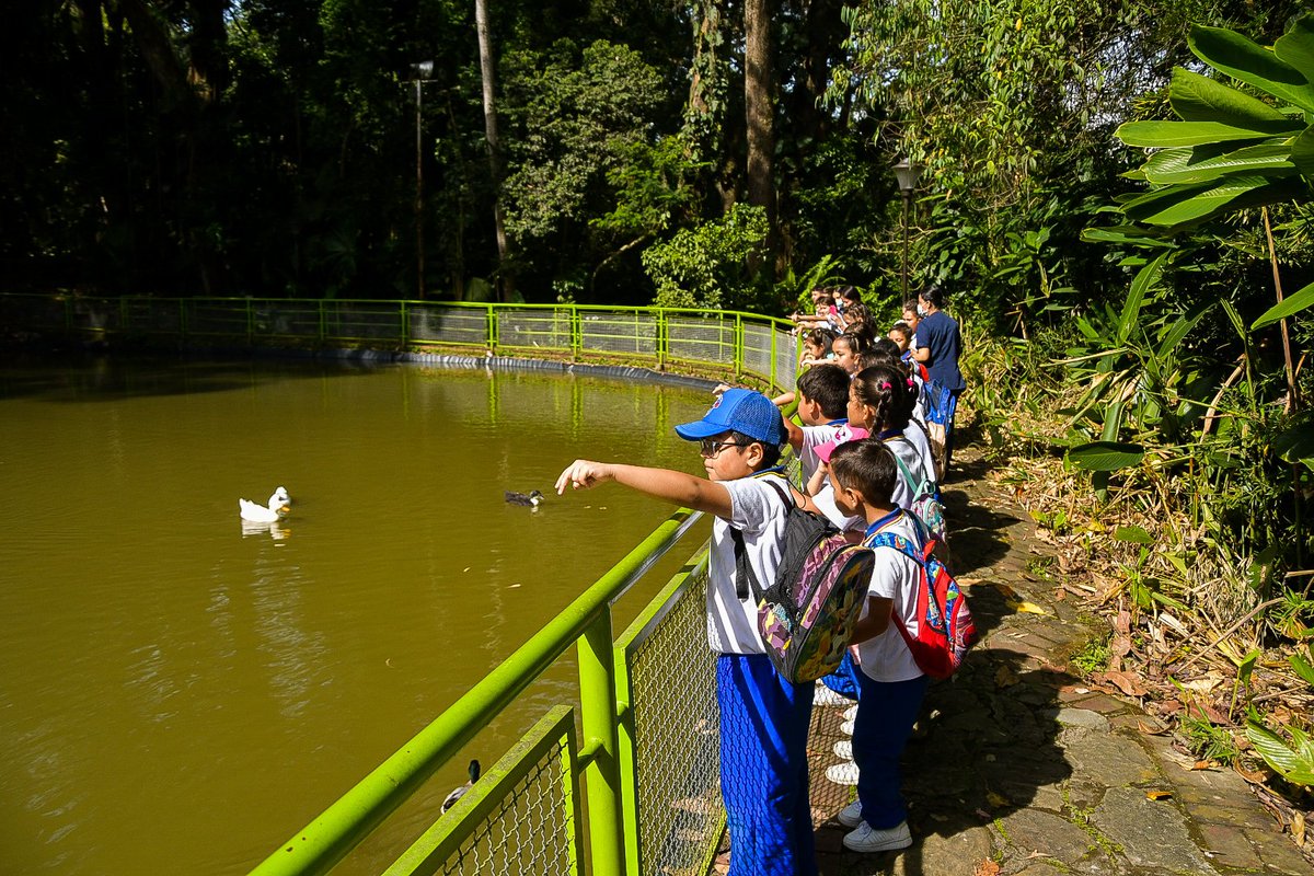 CARCDMB's tweet photo. Las imágenes dicen más que mil palabras. #NosVamosAlJardín 🌺 🦢 sigue siendo el plan favorito de los estudiantes y si no opinen ustedes 📸🤩.
En esta oportunidad los protagonistas fueron los chiquitines del col. Integrado Nueva Colombia de #Floridablanca.
#CDMBiodiversa https://t.co/EMymUqegdQ