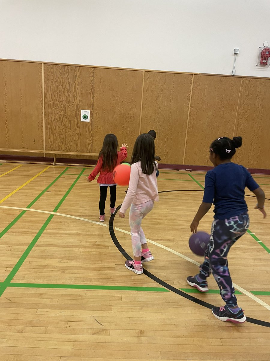 Miss. Hamptons Grade 1/2 Class tweet media