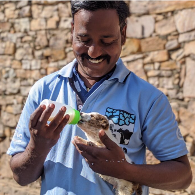 50 SCREEN PRINTS  £50 OR UNDER , 50% TO CHARITY 🐶 - mailchi.mp/20e2fe10b1f1/u…