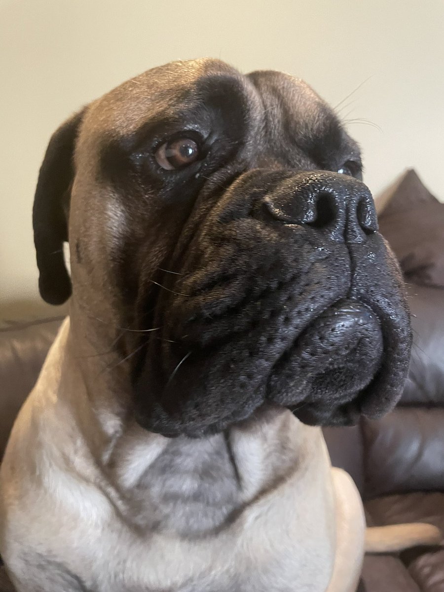 keithwrite_k's tweet image. Almost a year!❤️❤️