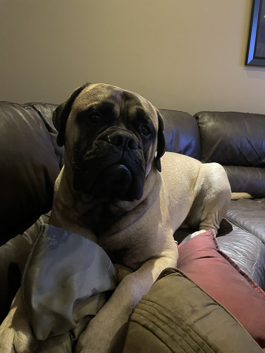 keithwrite_k's tweet image. Almost a year!❤️❤️