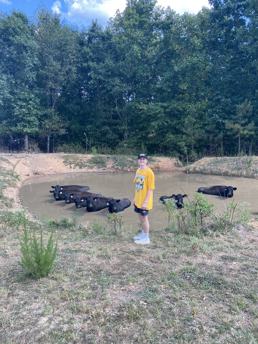 liteSDY's tweet image. Fuck around find out