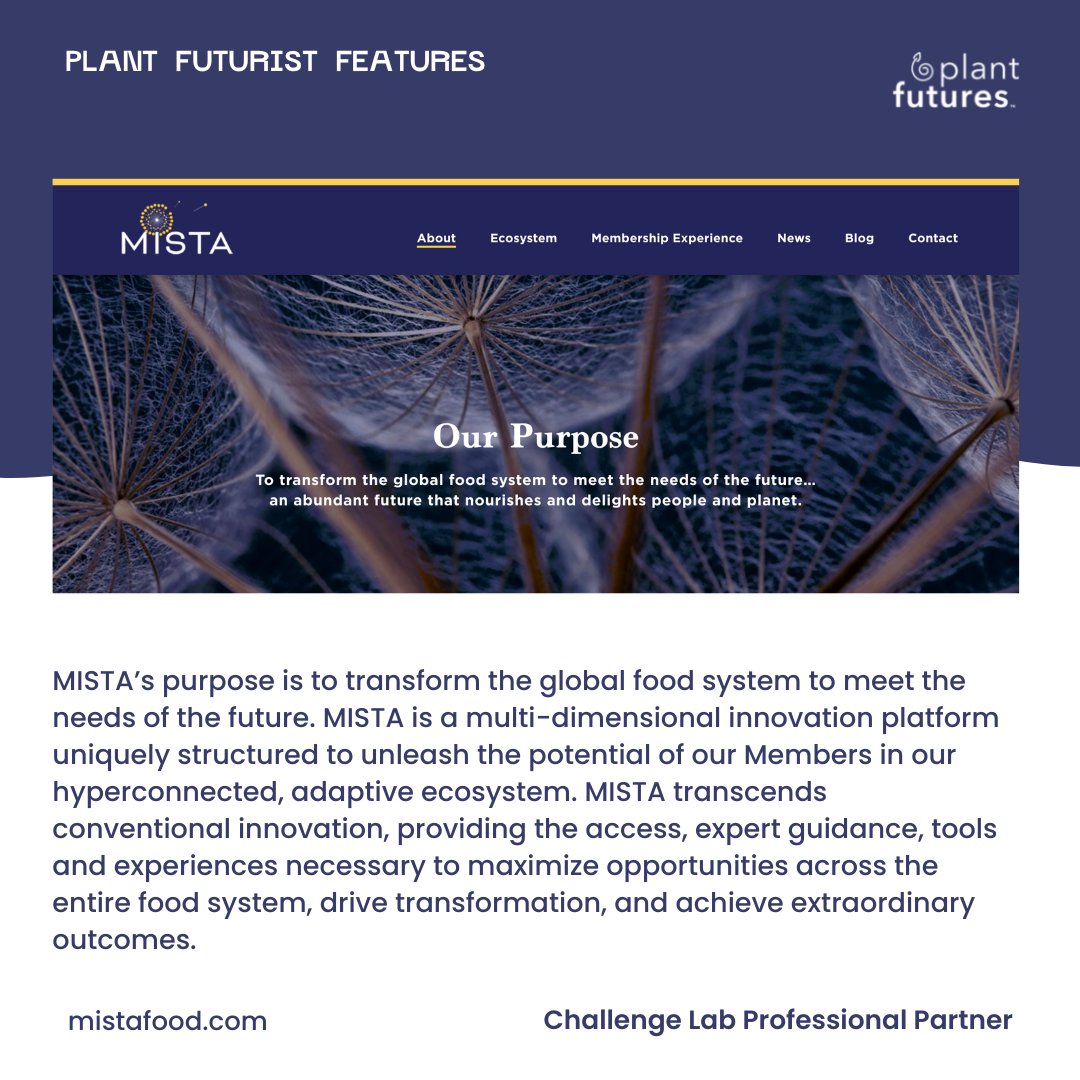 plant_futures's tweet image. We&apos;re so glad to have MISTA as our Professional Partner for this #ChallengeLab

Students are working  with MISTA to help define a common language and narrative to promote the use of #mycelium for foods, and investigating the best way to engage with organizations and governments