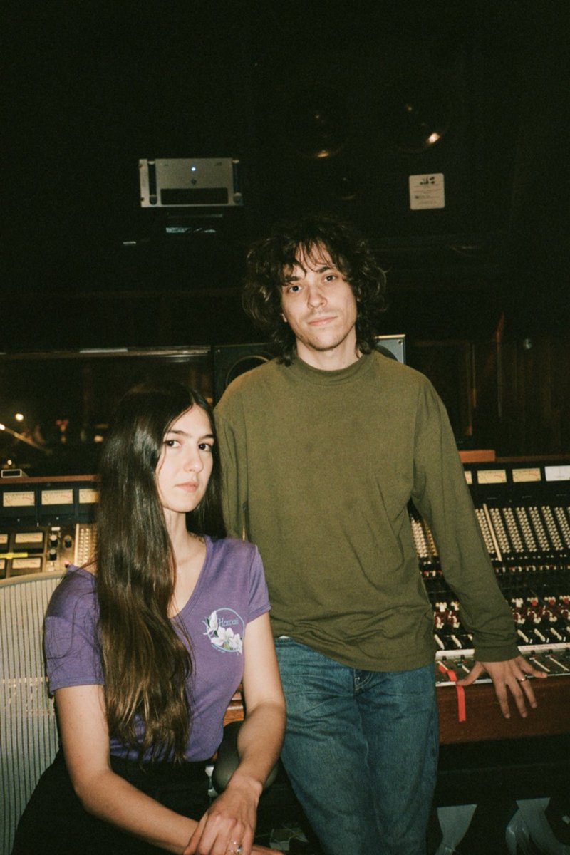 Weyes Blood tweet media