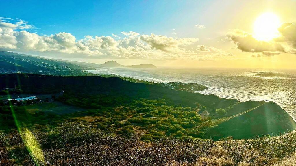 Paris Xavier Pinkney tweet media