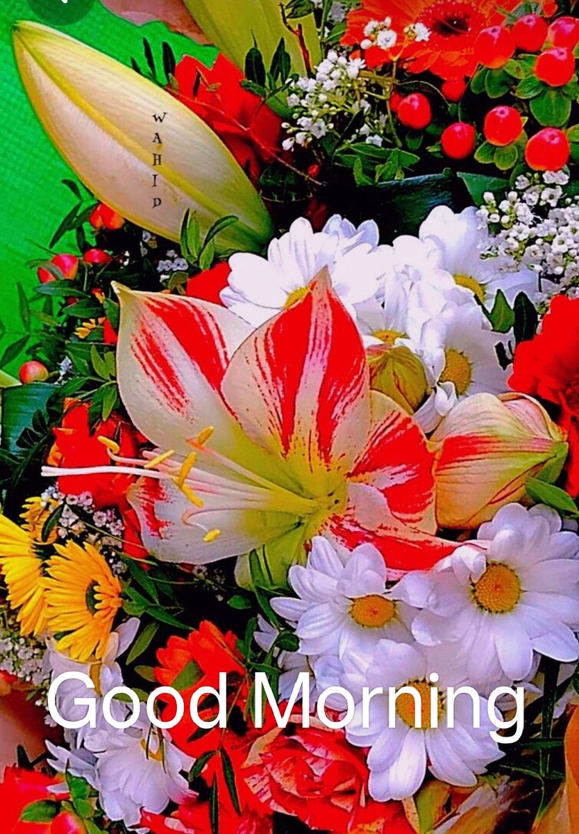 Good morning friends