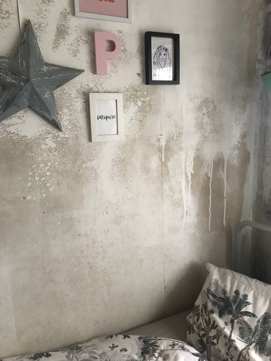 CapnSherribles's tweet photo. @LucyABeaumont This is the bedroom I share with my 7 year old. I’ve tried everything to get it under control. No one will help me! Including @DarrenRodwell of LBBD Council https://t.co/W2rnwDVLYv