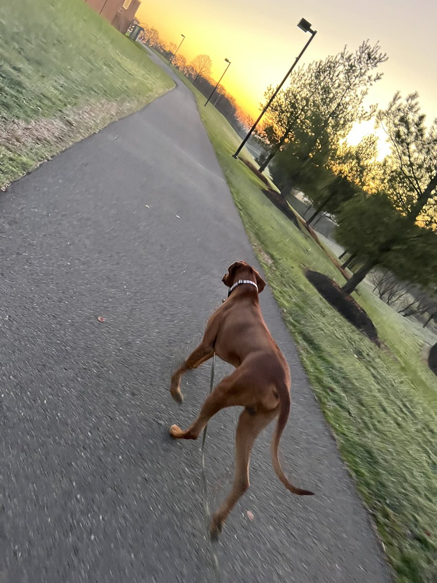 Murph had his first visit at DBHS today. He did wonderful and it was truly even better than we could’ve hoped for. Thankful for all of the support in creating this opportunity. We have a strong village. 💙