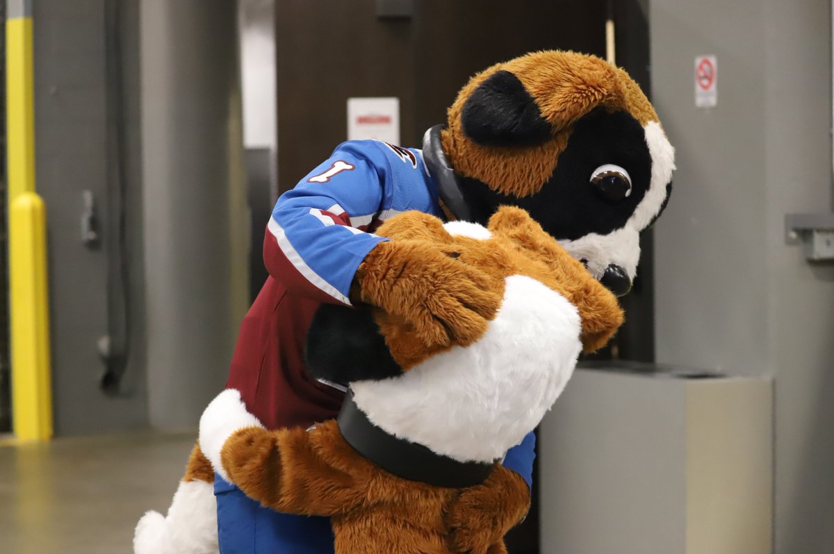 Avs Faithful! The second annual Next Gen Night - where kids run the show - is on January 14th! Enter to Win the opportunity for your child to participate in all the fun! We will have a kid coach, PA announcer, Lil' Bern, and more! Enter here: bit.ly/3hZaLEl #GoAvsGo