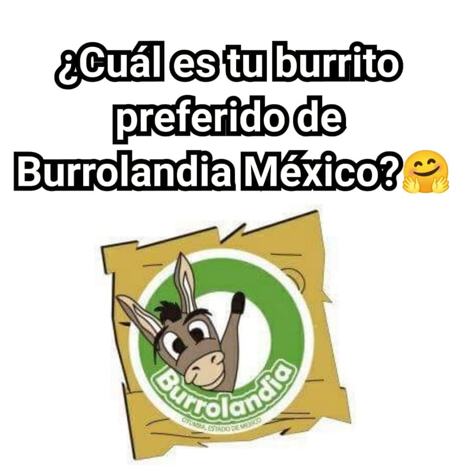 PREGUNTAS DE LA MANADA 🤭🔎❓
Gracias por ser parte de este proyecto 😊🤗

#unetealproyectoderescatedelburritomexicano 
Burrolandia México, #Aquenoteaburres!!!