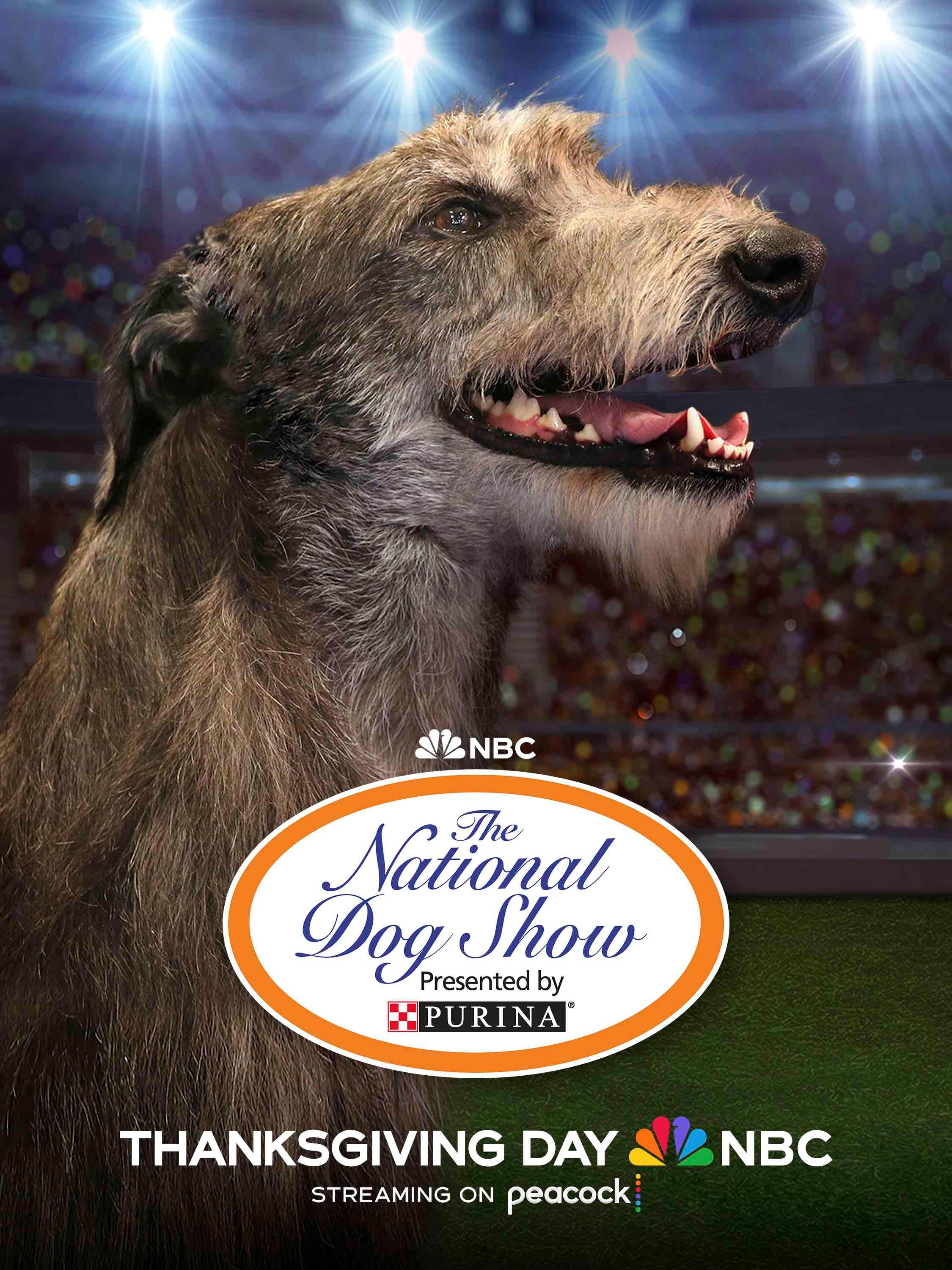 Nbc national dog 2025 show 2018