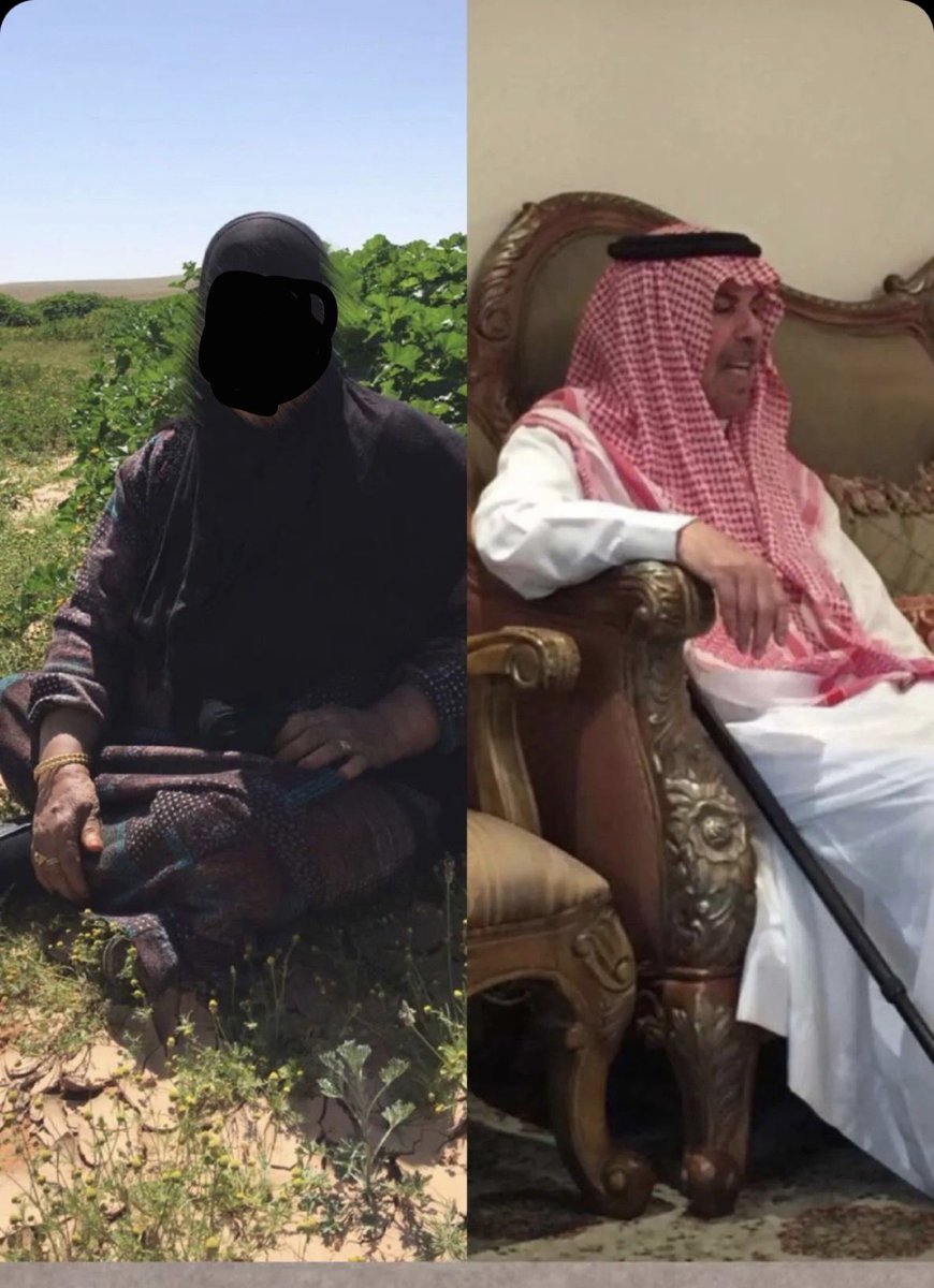 طلال زبن الشامان. tweet media
