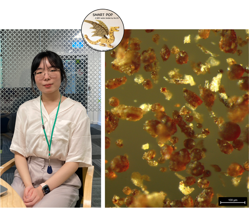 Smartpop_eu's tweet photo. Welcome to Amy Xu, Summer student at @scion_research who joined our team for her internship. Her work will aim to combine chemical engineering approaches and machine learning tools to optimize the production process of bio-based powder for Selective laser sintering. https://t.co/YrCyRtJrYx