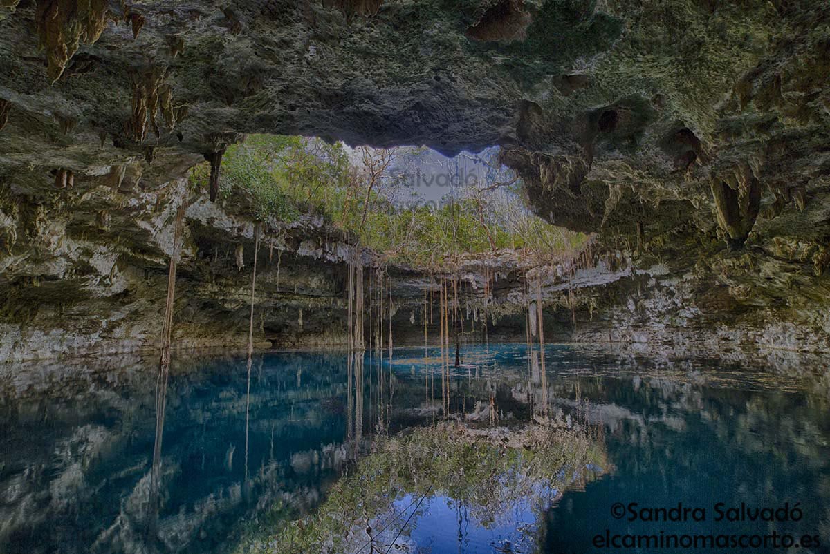 Caminomascorto's tweet photo. Cenote Xooch, Yucatán.
👉🏽https://t.co/qGdDiZfJOT 
#cenotesyucatan #cenotesmexico #cenotes #cenoteando https://t.co/9cg5rt1ywd