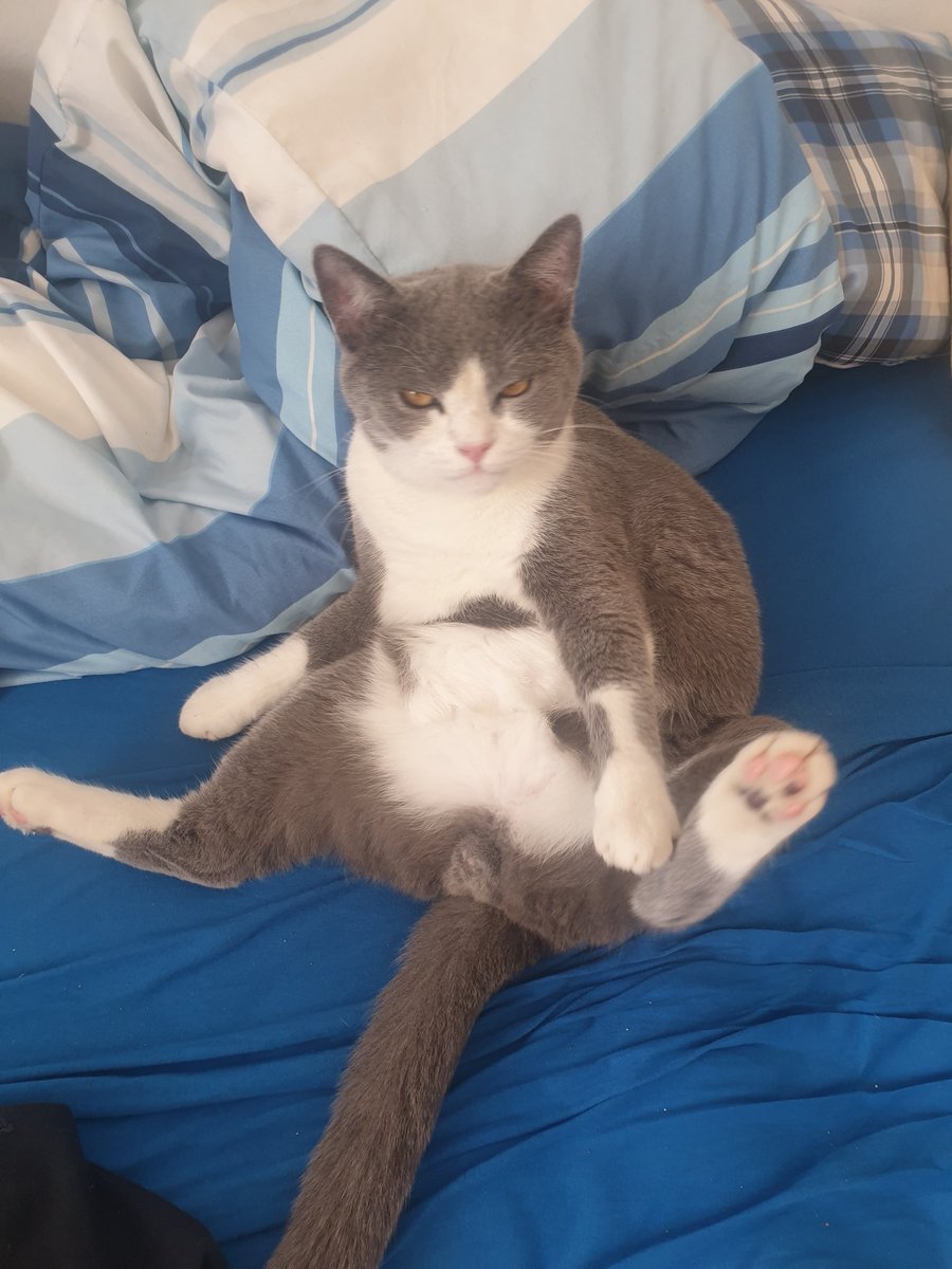 nY²³Yc tweet media