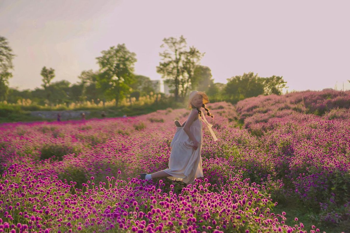 LyLyMartin1's tweet photo. Picturesque cypress flower garden in Long Bien
Have you checked in to this hot hit place yet?
#longbien #hanoi #travel #vietnam #checkinvietnam https://t.co/mJiDzmnjqN