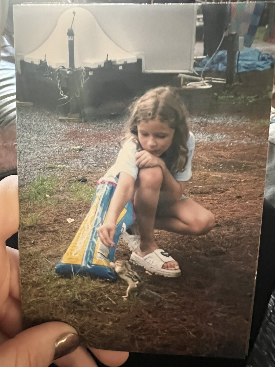 nickel_bake's tweet photo. Young Nicole vs chipmunk: a series. https://t.co/K1QElzzuXi