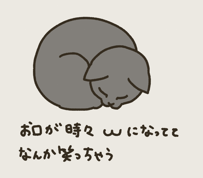 ねこ、顔の下半身が ω になってるときほんとおもろい😭www
#黒猫アルくん #猫飼い初心者奮闘記 