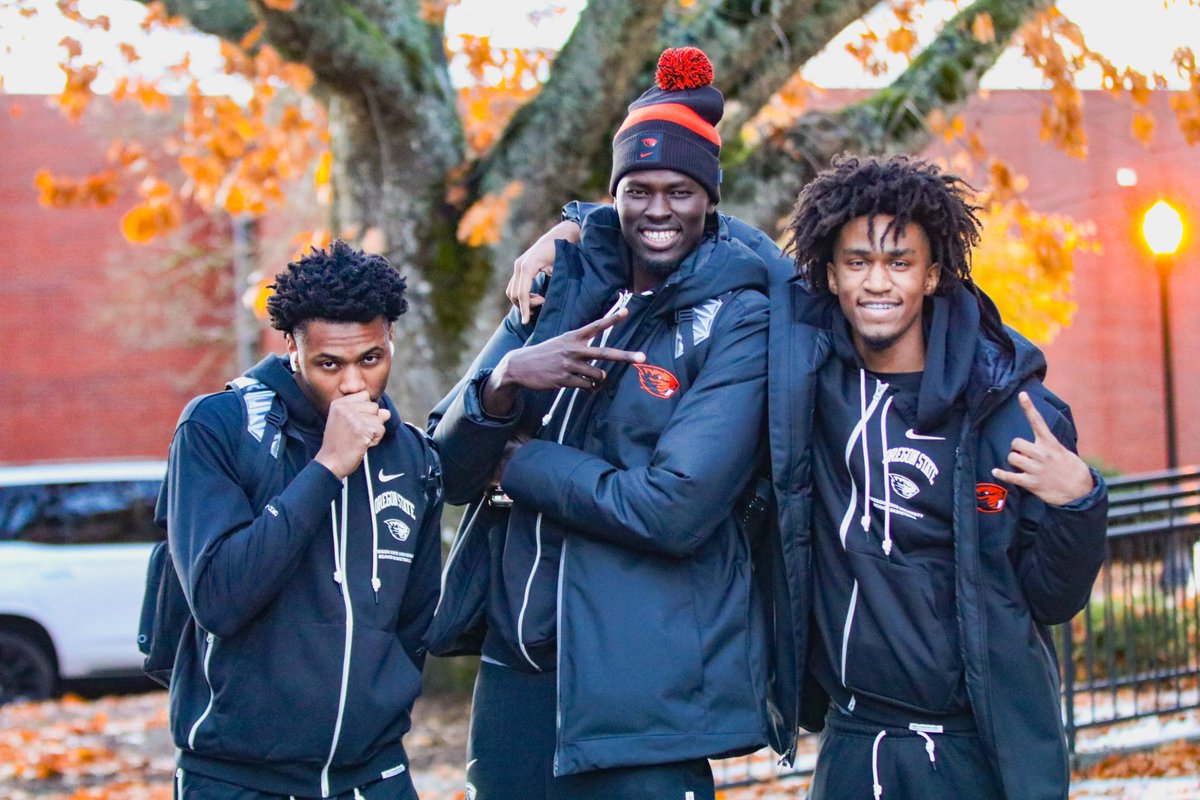 Oregon State Hoops tweet media