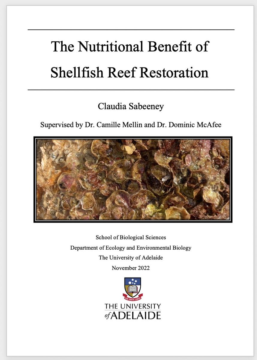 Claudia Sabeeney (@csabeeney) on Twitter photo All finished! The most rewarding year - enjoyed every second investigating the #nutritional benefit of #oysterreef π¦ͺ#restoration. So grateful to my supervisors <a href="/MellinCamille/">Camille Mellin</a> <a href="/dominicmcafee6/">Dr Dominic McAfee</a> & all who made this project possible! All finished! The most rewarding year - enjoyed every second investigating the #nutritional benefit of #oysterreef π¦ͺ#restoration. So grateful to my supervisors <a href="/MellinCamille/">Camille Mellin</a> <a href="/dominicmcafee6/">Dr Dominic McAfee</a> & all who made this project possible!